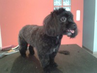 /album/fenykepgaleria/a2013-07-16-11-59-58-jpg1/